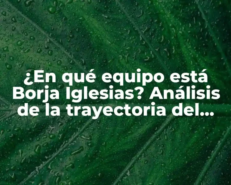 ¿En qué equipo está Borja Iglesias? Análisis de la trayectoria del delantero español