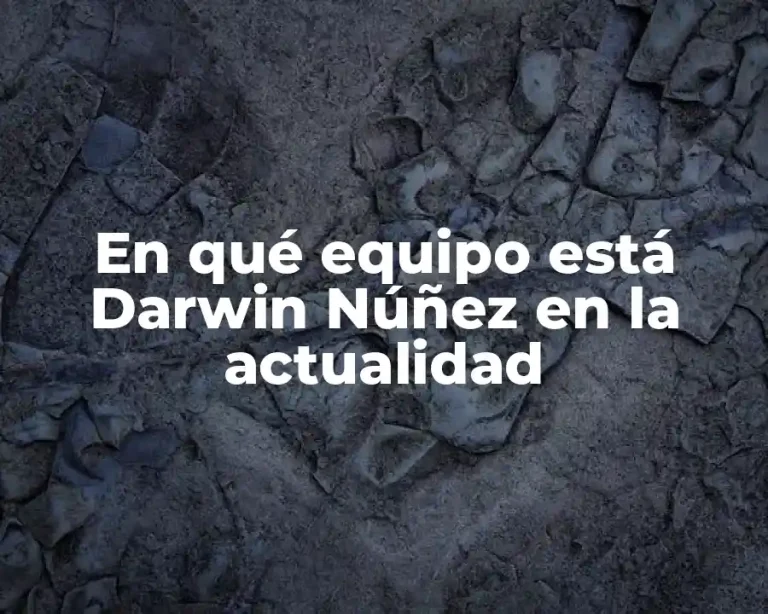 En qué equipo está Darwin Núñez en la actualidad