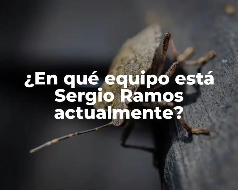 ¿En qué equipo está Sergio Ramos actualmente?