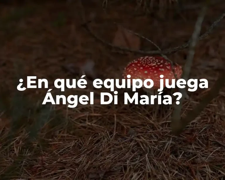 ¿En qué equipo juega Ángel Di María?