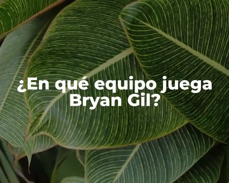¿En qué equipo juega Bryan Gil?