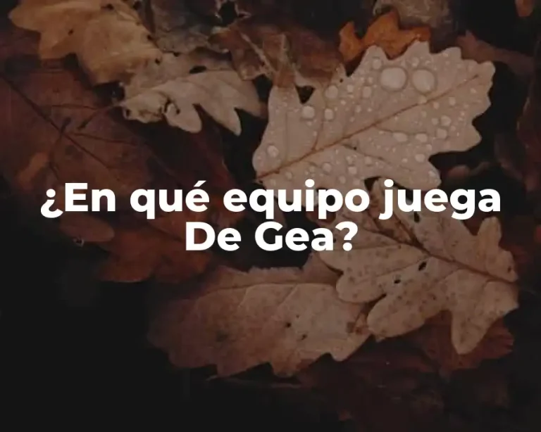 ¿En qué equipo juega De Gea?