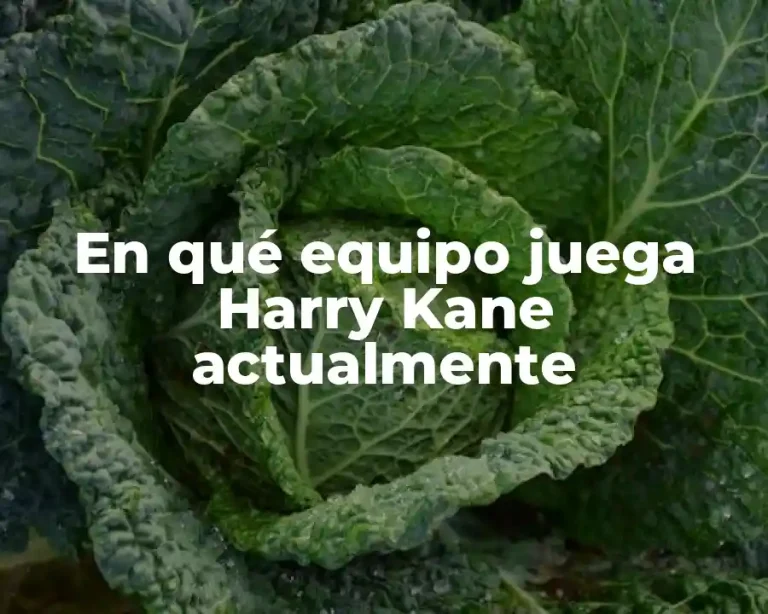 En qué equipo juega Harry Kane actualmente