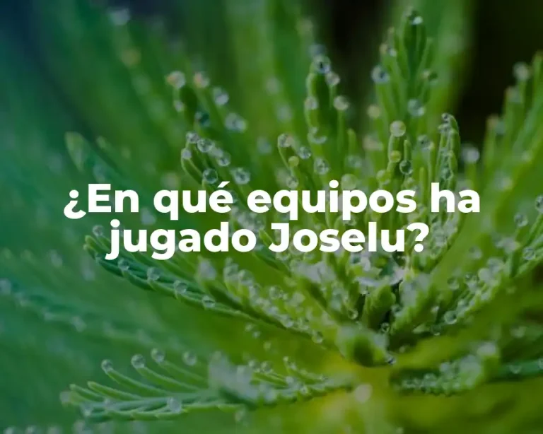 ¿En qué equipos ha jugado Joselu?