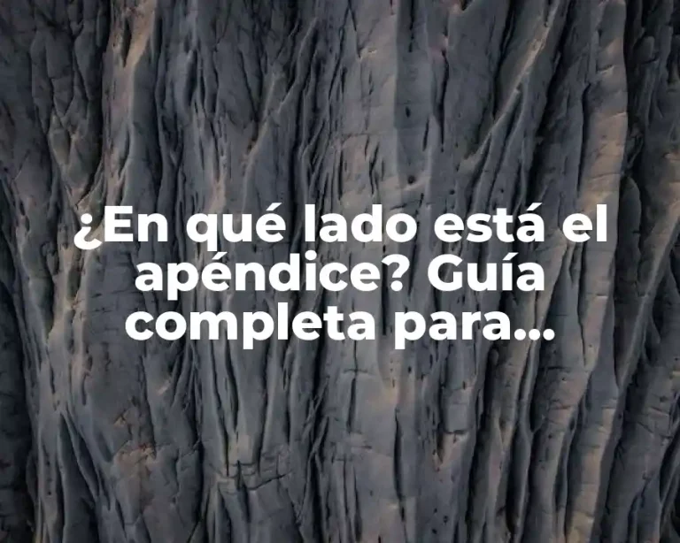 ¿En qué lado está el apéndice? Guía completa para encontrarlo