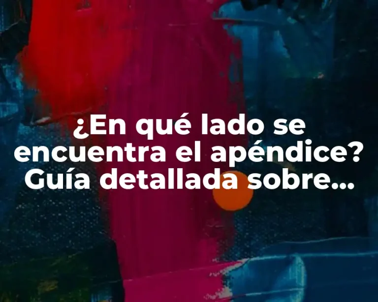 ¿En qué lado se encuentra el apéndice? Guía detallada sobre anatomía y función