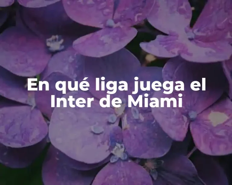 En qué liga juega el Inter de Miami
