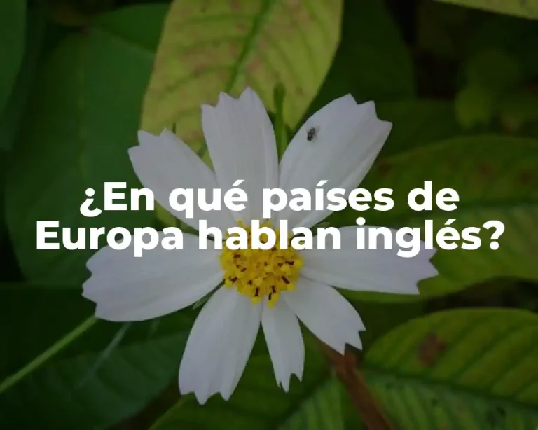 ¿En qué países de Europa hablan inglés?