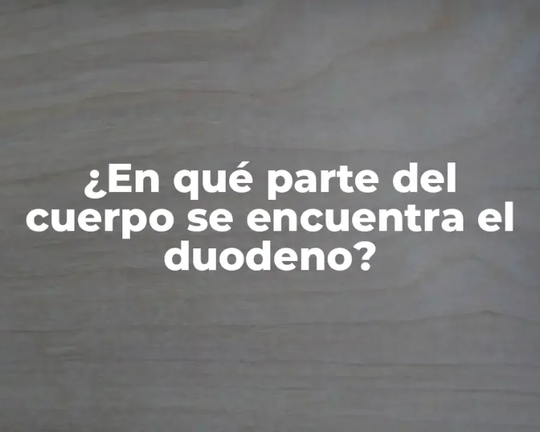 ¿En qué parte del cuerpo se encuentra el duodeno?