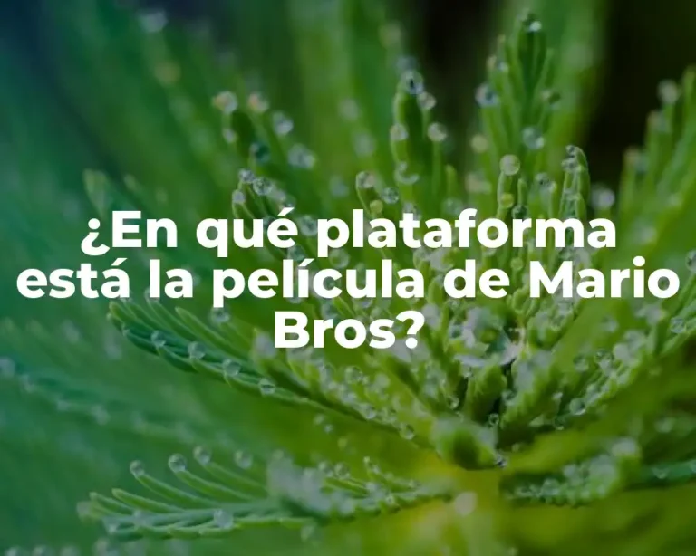 ¿En qué plataforma está la película de Mario Bros?