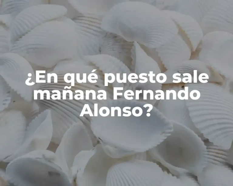 ¿En qué puesto sale mañana Fernando Alonso?