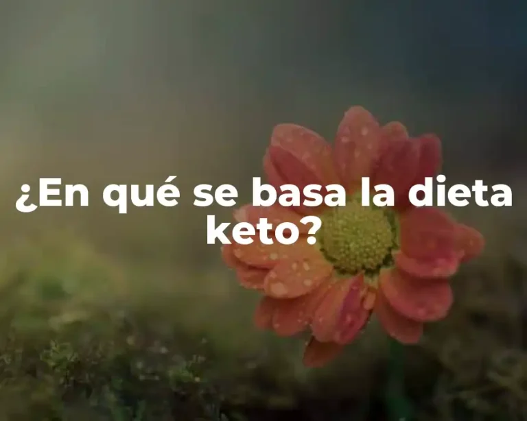 ¿En qué se basa la dieta keto?