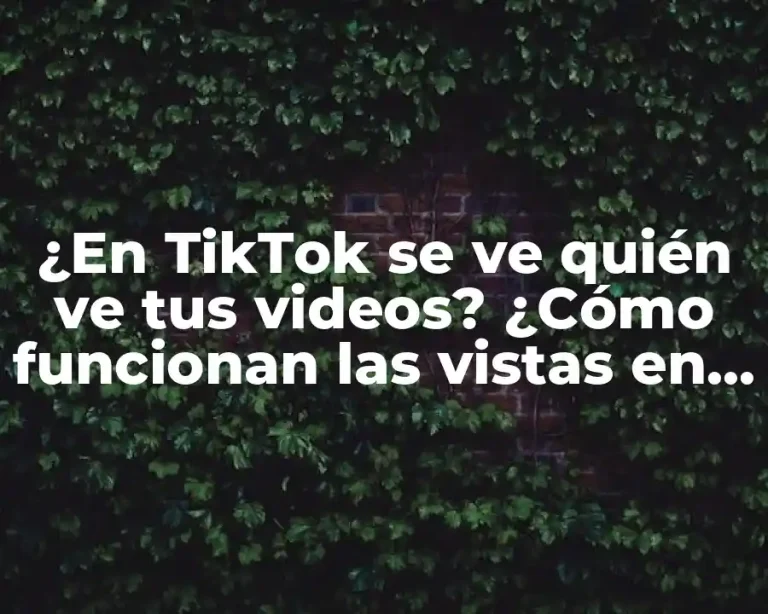 ¿En TikTok se ve quién ve tus videos? ¿Cómo funcionan las vistas en TikTok?