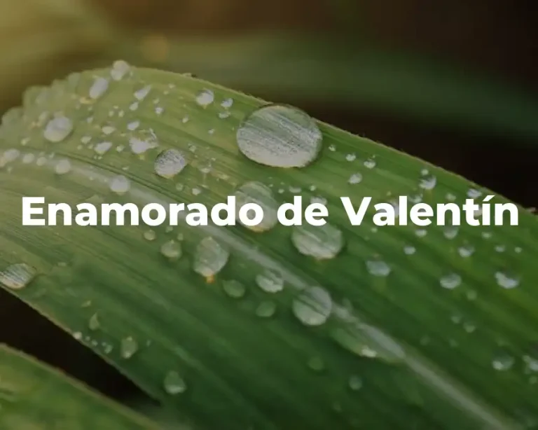 Enamorado de Valentín