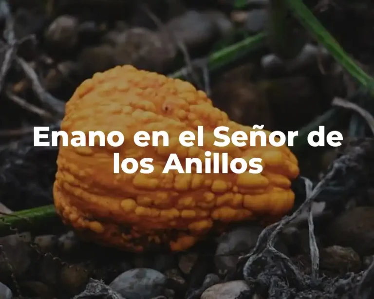 Enano en el Señor de los Anillos