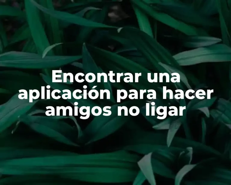 Encontrar una aplicación para hacer amigos no ligar