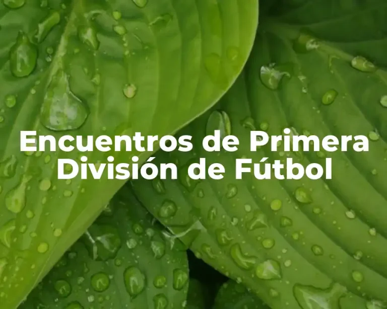 Encuentros de Primera División de Fútbol