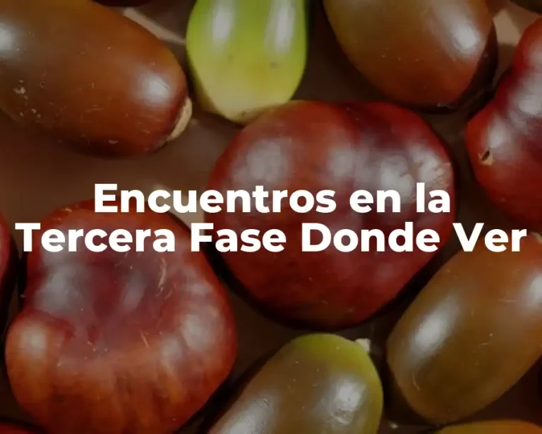 Encuentros en la Tercera Fase Donde Ver