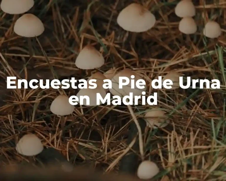 Encuestas a Pie de Urna en Madrid