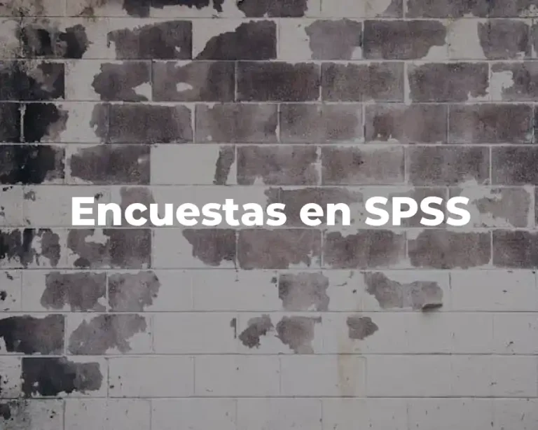 Encuestas en SPSS