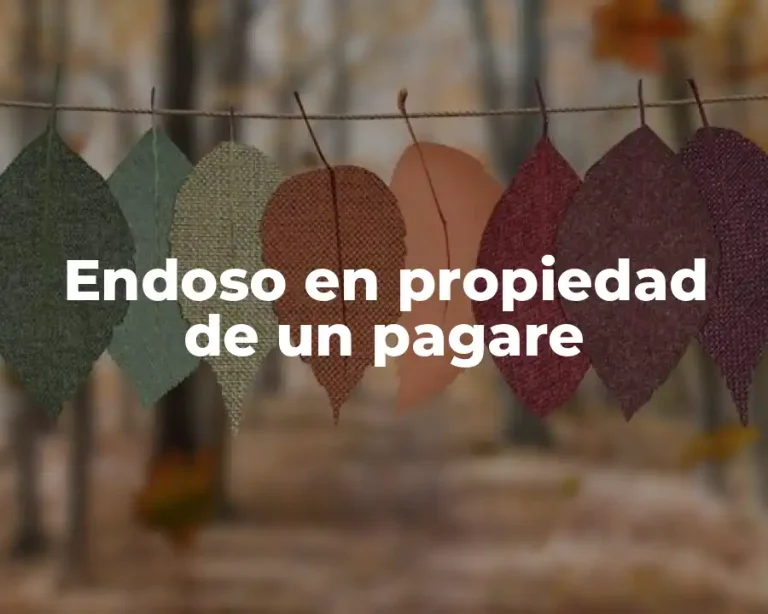 Endoso en propiedad de un pagare