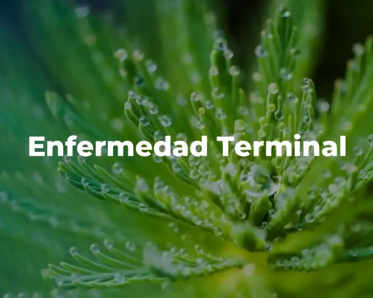 Enfermedad Terminal