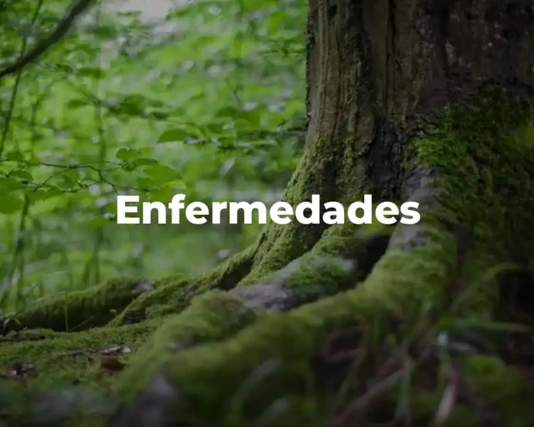Enfermedades