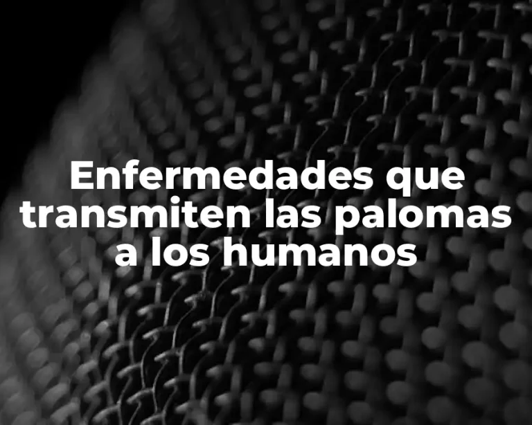 Enfermedades que transmiten las palomas a los humanos