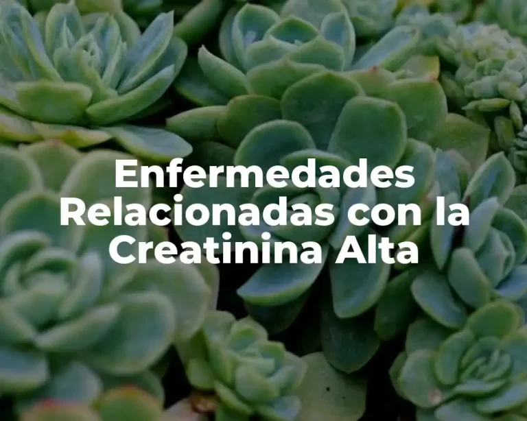 Enfermedades Relacionadas con la Creatinina Alta