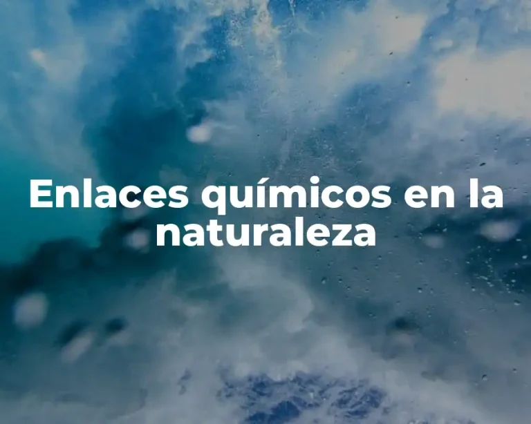 Enlaces químicos en la naturaleza