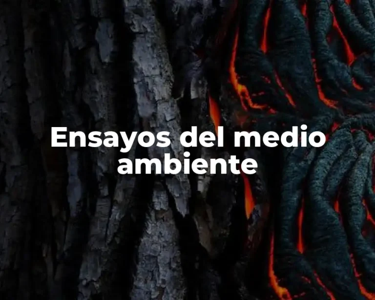 Ensayos del medio ambiente