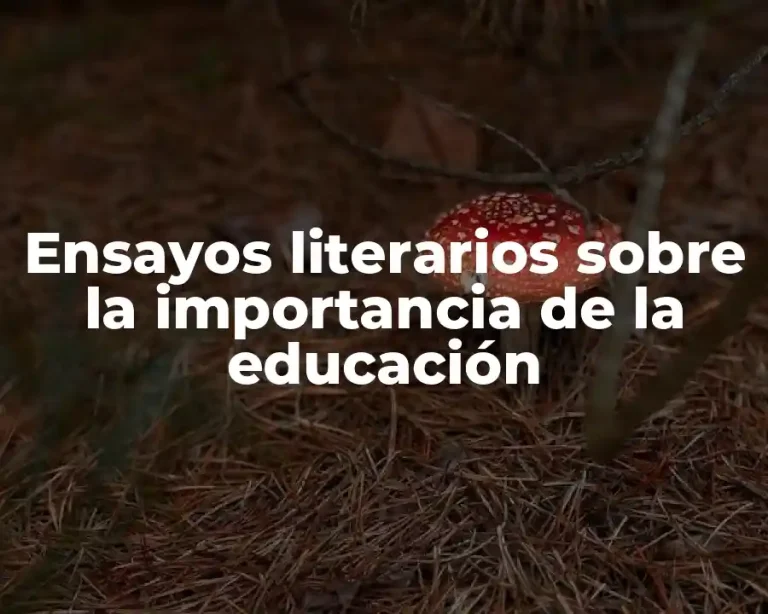 Ensayos literarios sobre la importancia de la educación