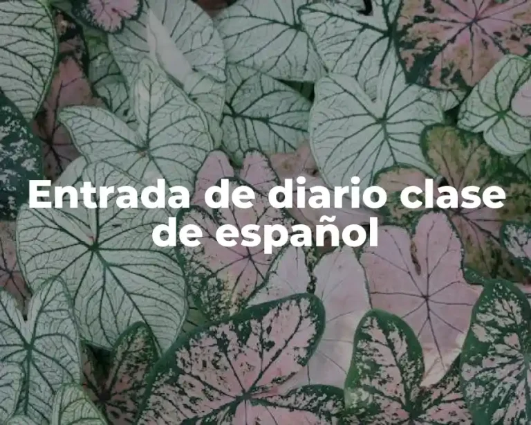 Entrada de diario clase de español
