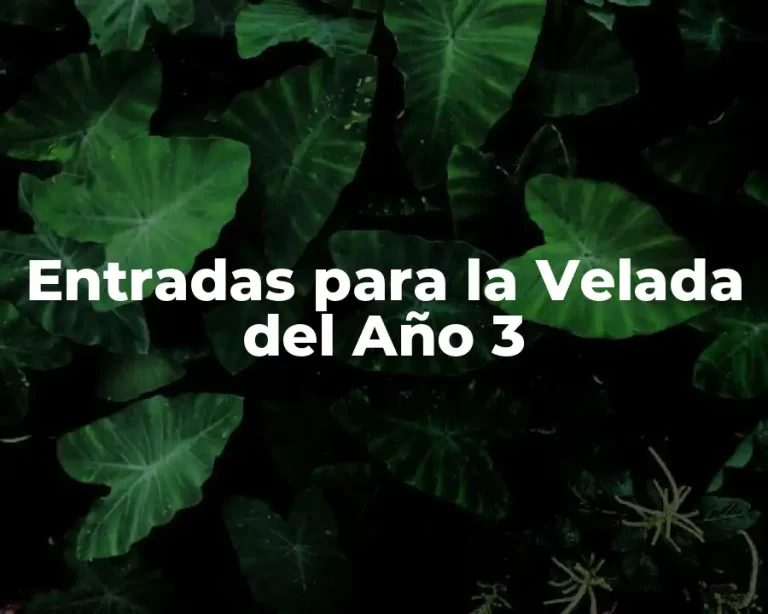 Entradas para la Velada del Año 3