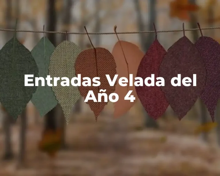 Entradas Velada del Año 4