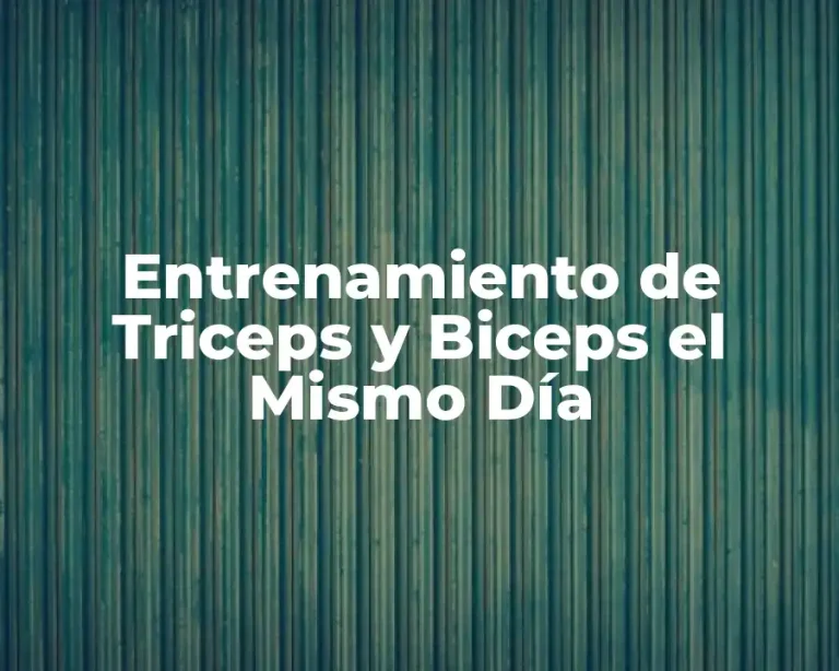 Entrenamiento de Triceps y Biceps el Mismo Día