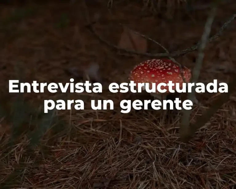 Entrevista estructurada para un gerente