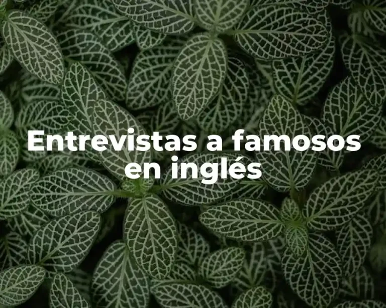 Entrevistas a famosos en inglés