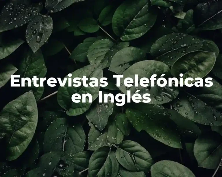 Entrevistas Telefónicas en Inglés