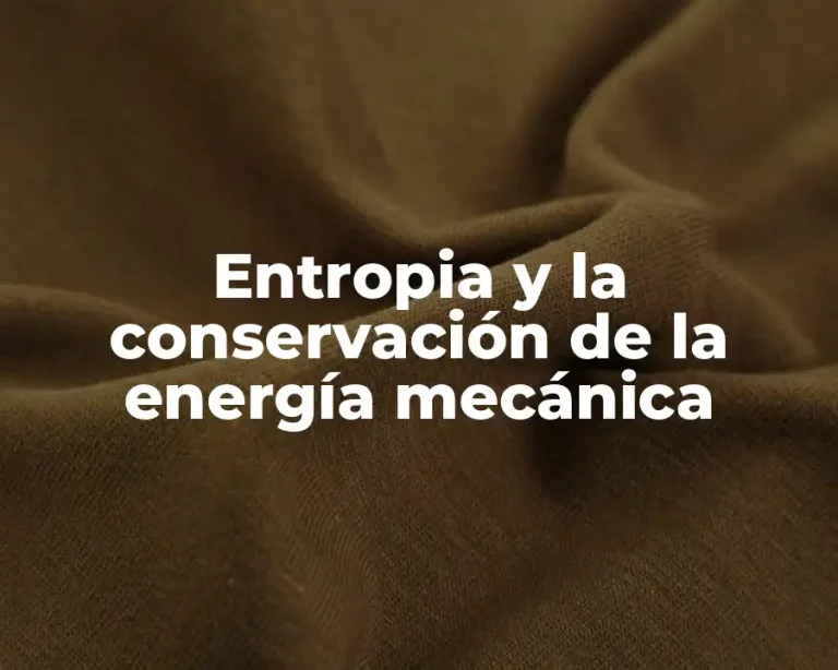 Entropia y la conservación de la energía mecánica