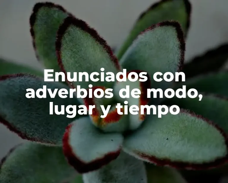 Enunciados con adverbios de modo, lugar y tiempo