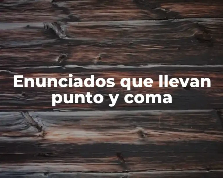 Enunciados que llevan punto y coma