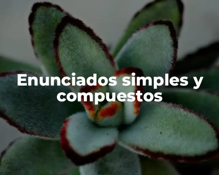Enunciados simples y compuestos