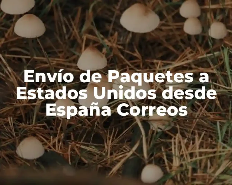 Envío de Paquetes a Estados Unidos desde España Correos