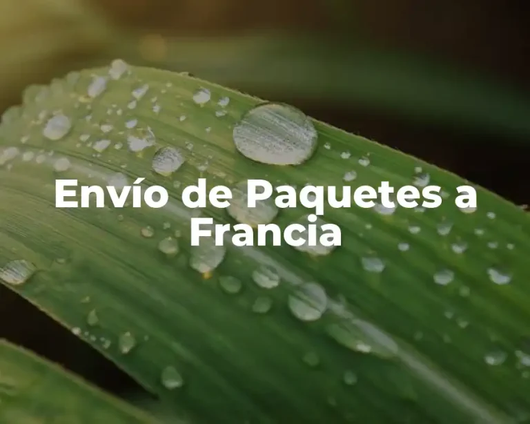 Envío de Paquetes a Francia