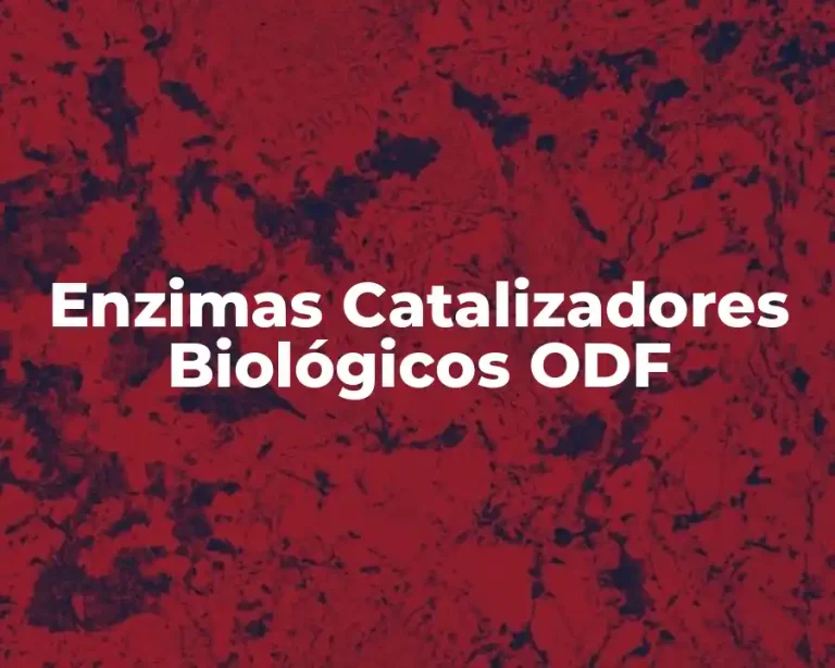 Enzimas Catalizadores Biológicos ODF