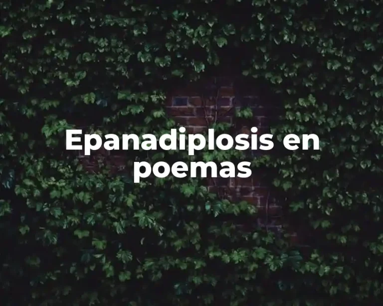 Epanadiplosis en poemas