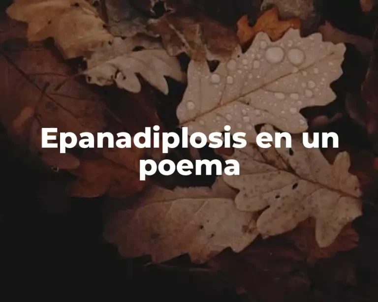 Epanadiplosis en un poema