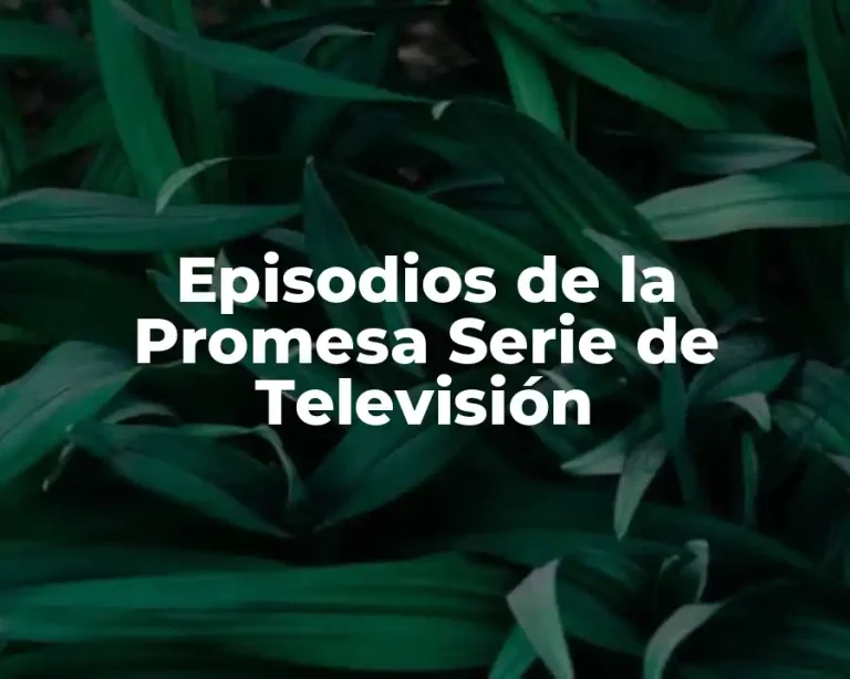 Episodios de la Promesa Serie de Televisión