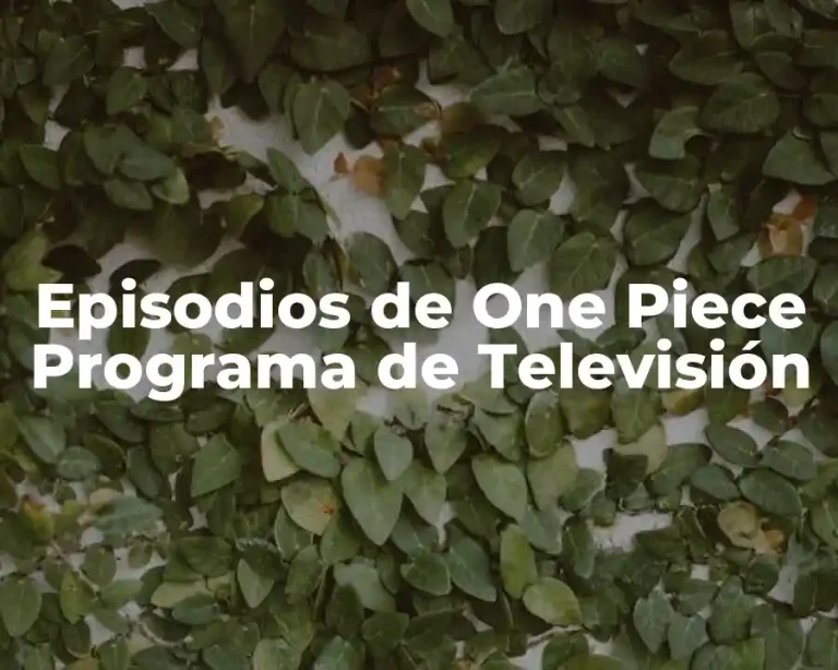Episodios de One Piece Programa de Televisión